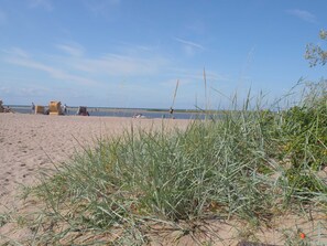 Playa en los alrededores 