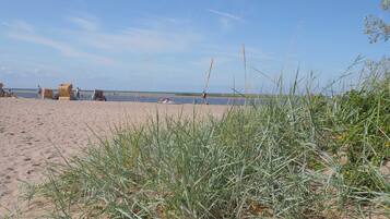 Una spiaggia nelle vicinanze