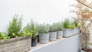 A row of potted plants against a white wall. - MaisonMars Studio 5 Blancarde (Marseille)
