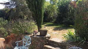 Un jardín con un muro de piedra, un banco de metal y un perro.