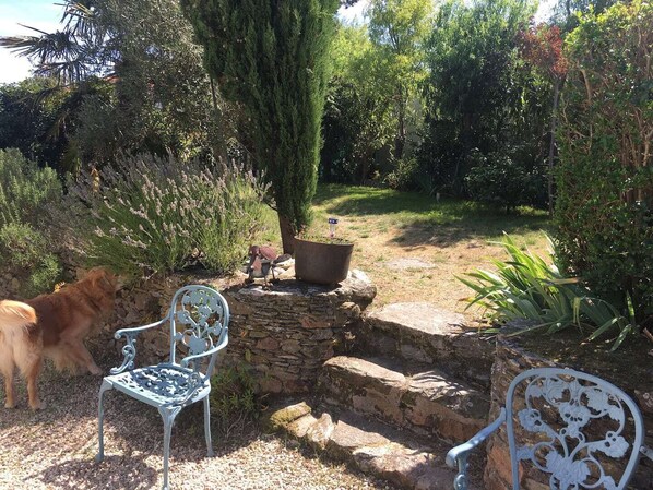 A garden with a stone wall, a metal bench, and a dog. - Live by the sea in a charming 19th-century house near the beaches. (Brem-sur-Mer)