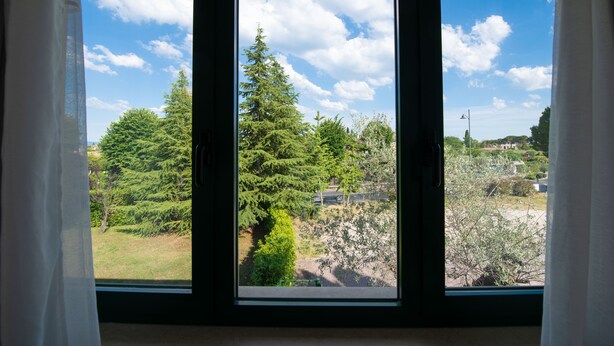Een uitzicht op een park en bomen vanuit een raam.