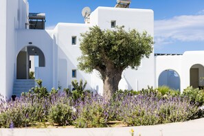 Property grounds - Villa Matina cycladic inspired home in Plaka  (Naxos)