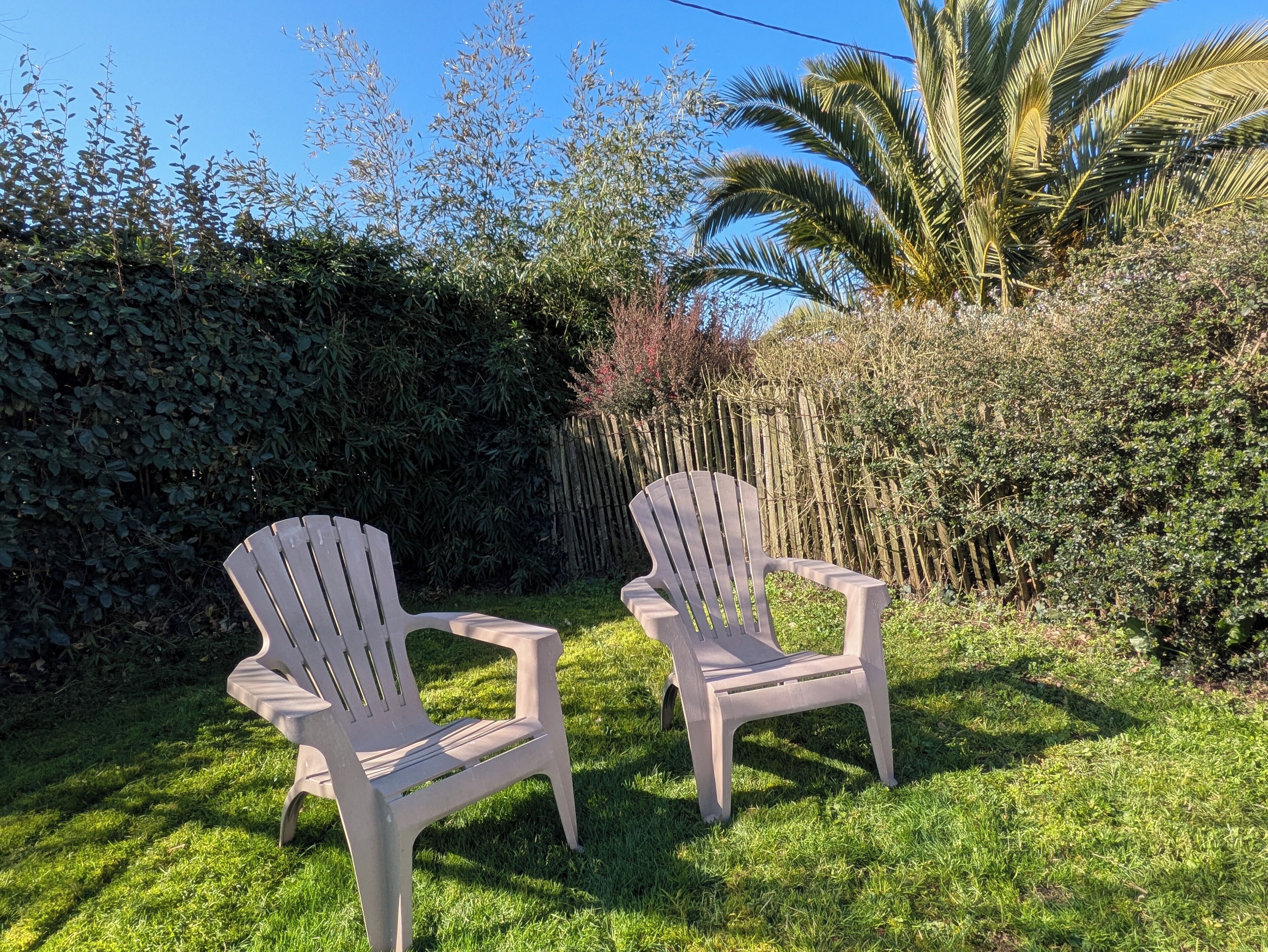 Dos sillas Adirondack en un área exterior con césped, una cerca de madera y follaje denso al fondo.