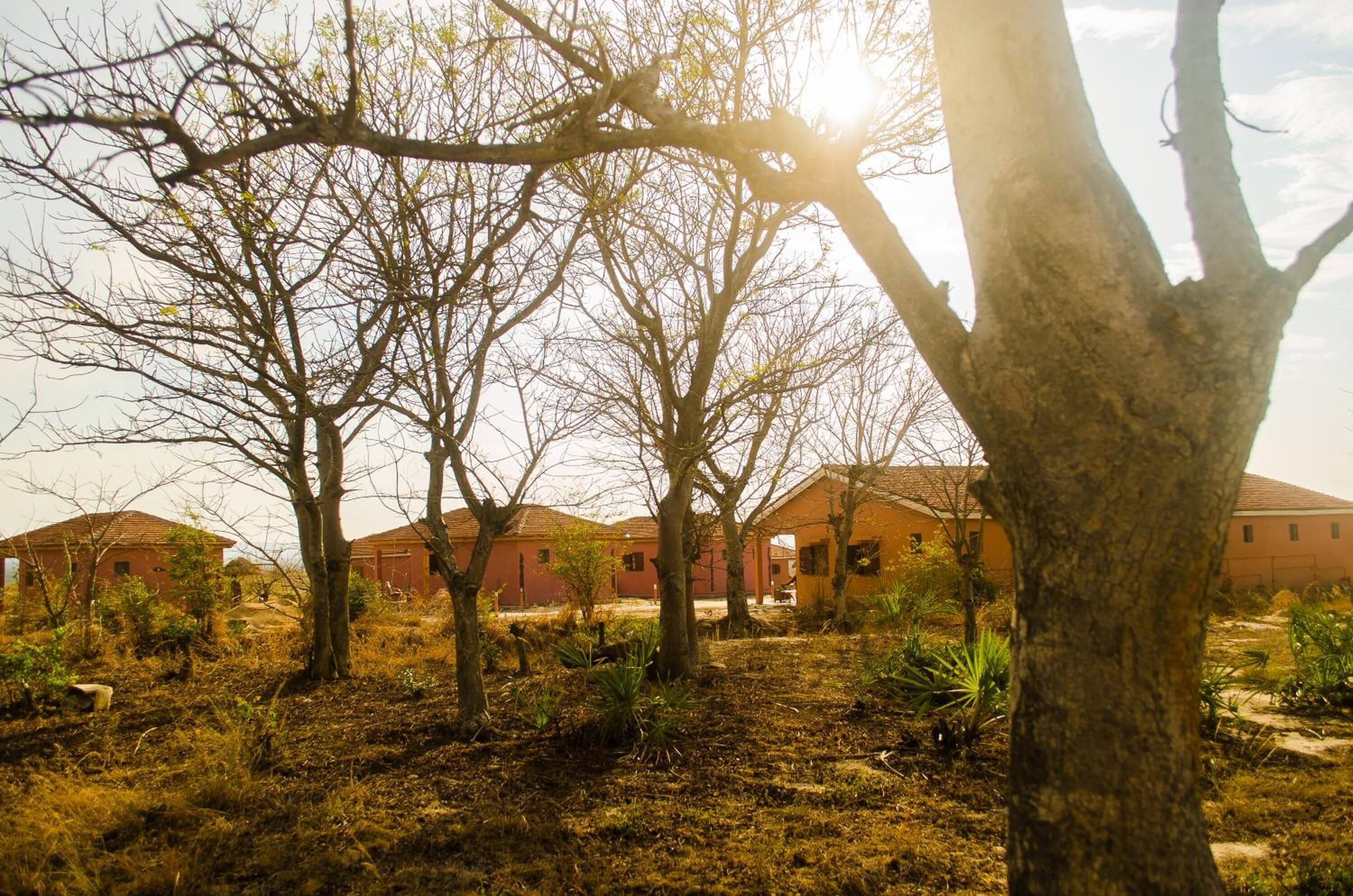 A courtyard with several buildings, trees, and dry grass.