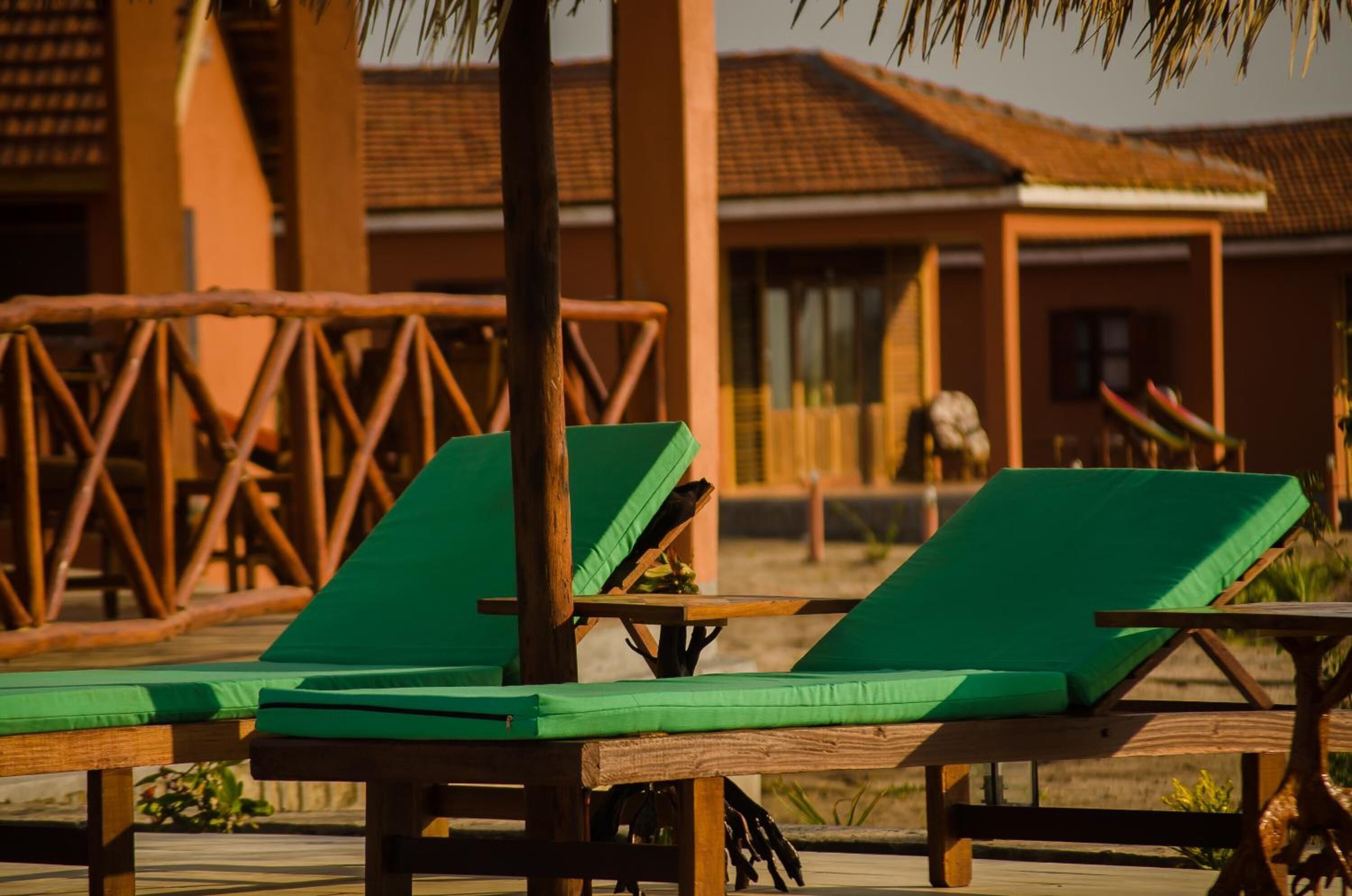 Un área de descanso frente a la playa con tumbonas de madera y una palmera.