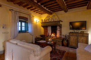 TV, fireplace