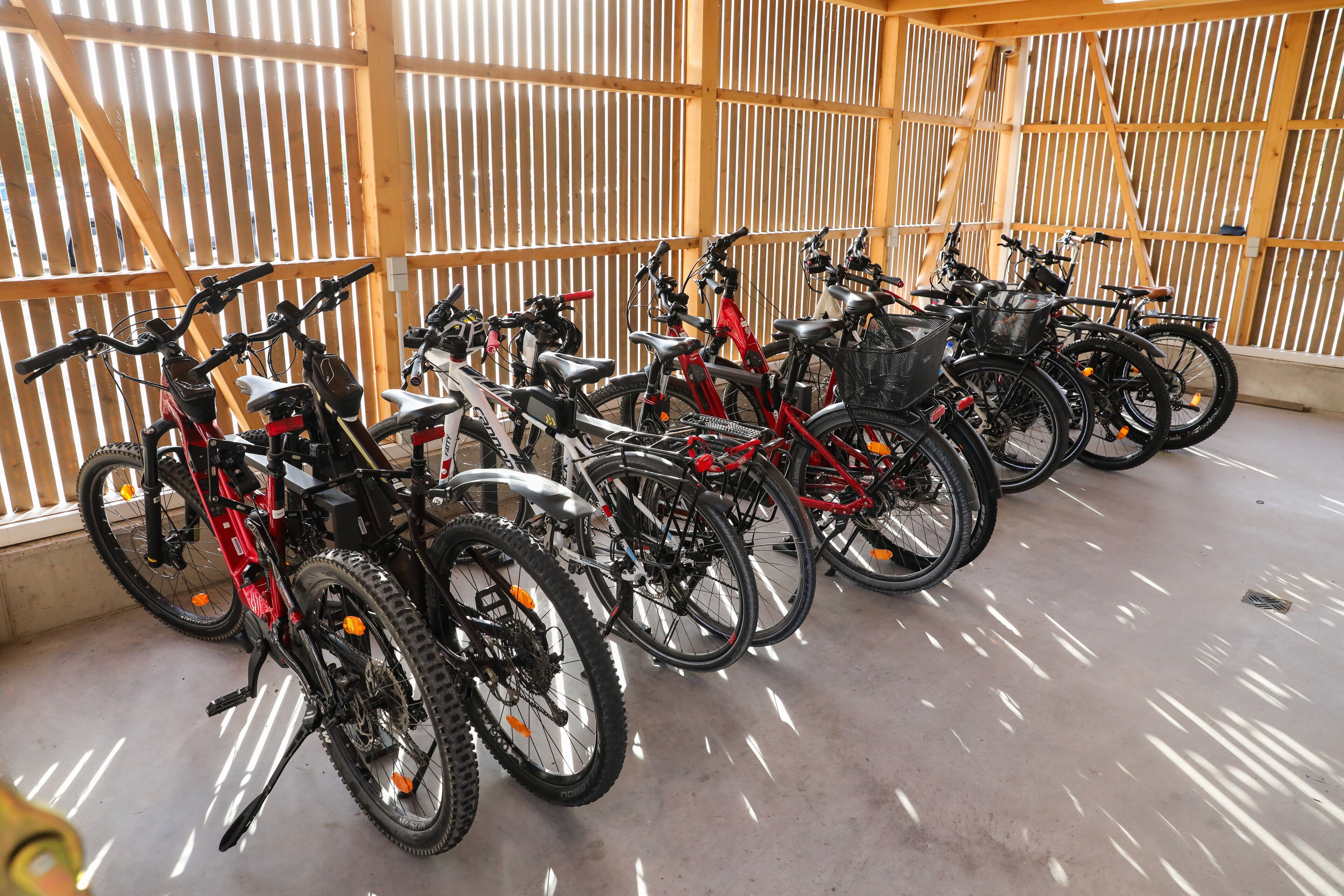 A row of bicycles parked indoors with a wooden slat wall in the background.