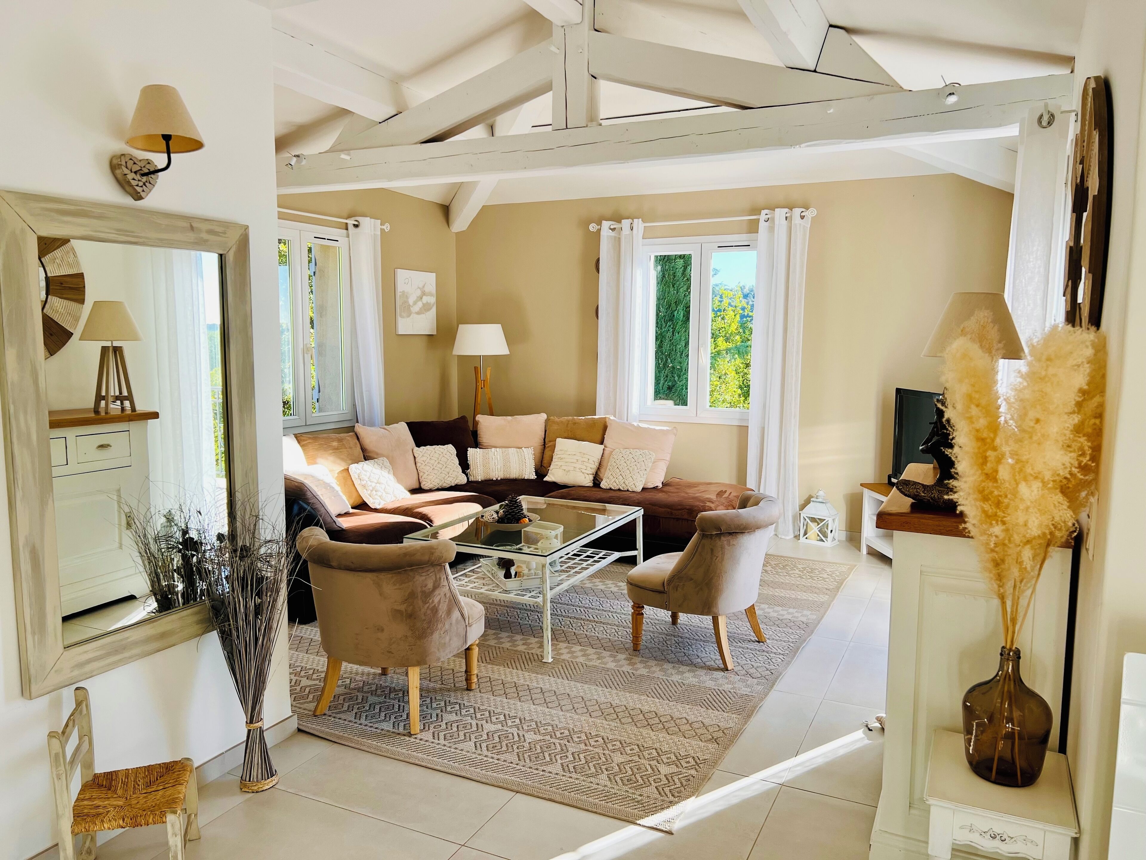 电视、DVD 播放器、乒乓球、书