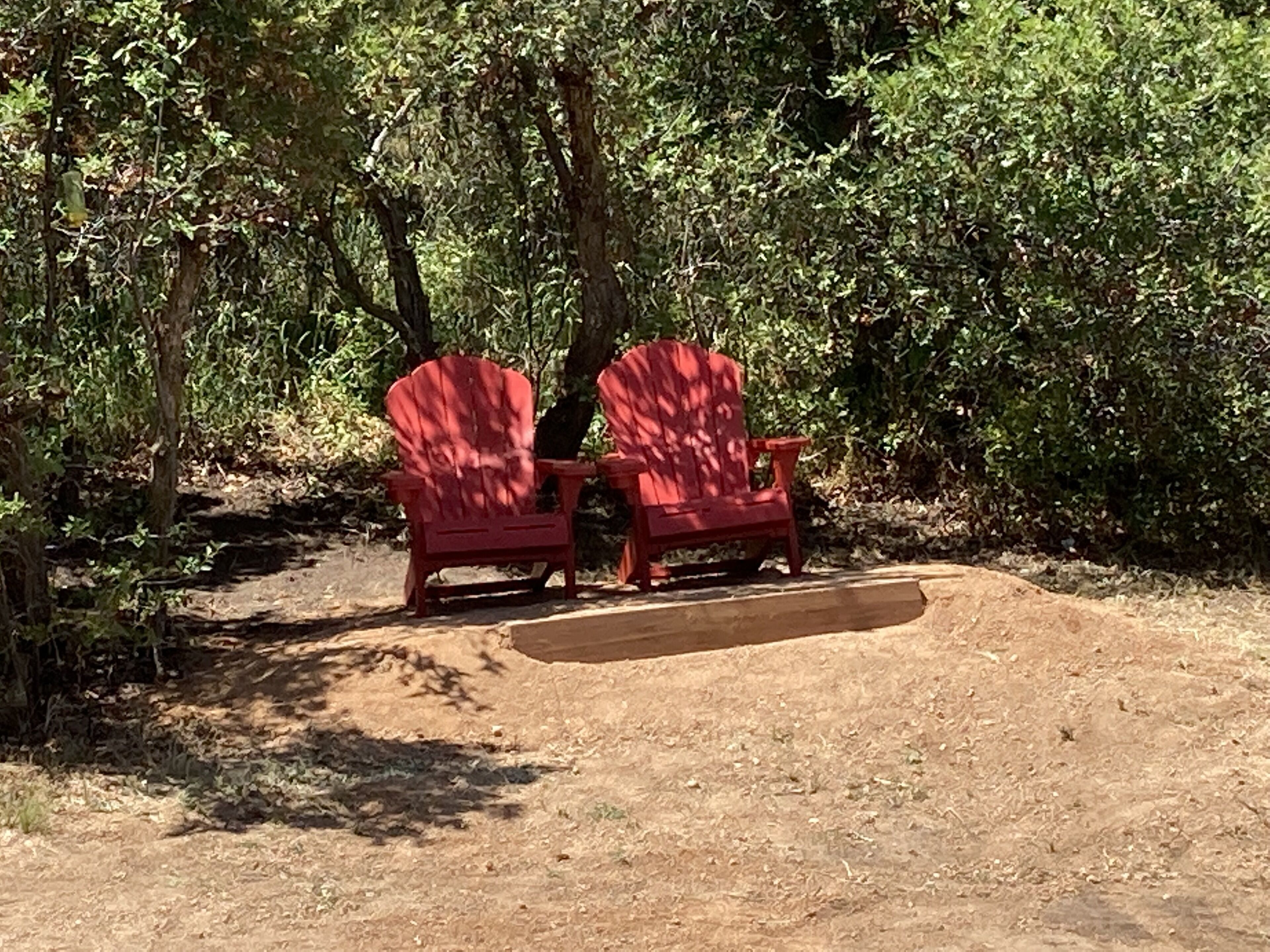 Two red Adirondack chairs in a natural setting with dense foliage.