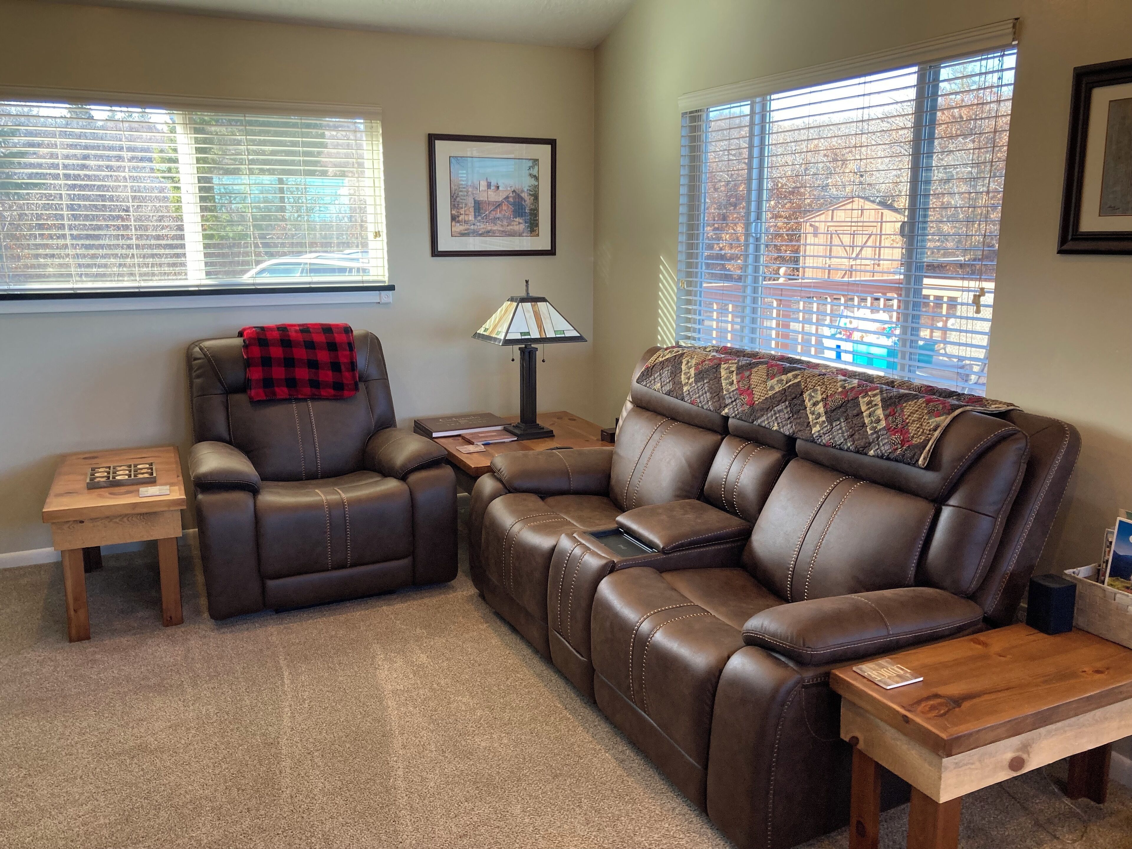 智能电视、壁炉、DVD 播放器、影片库