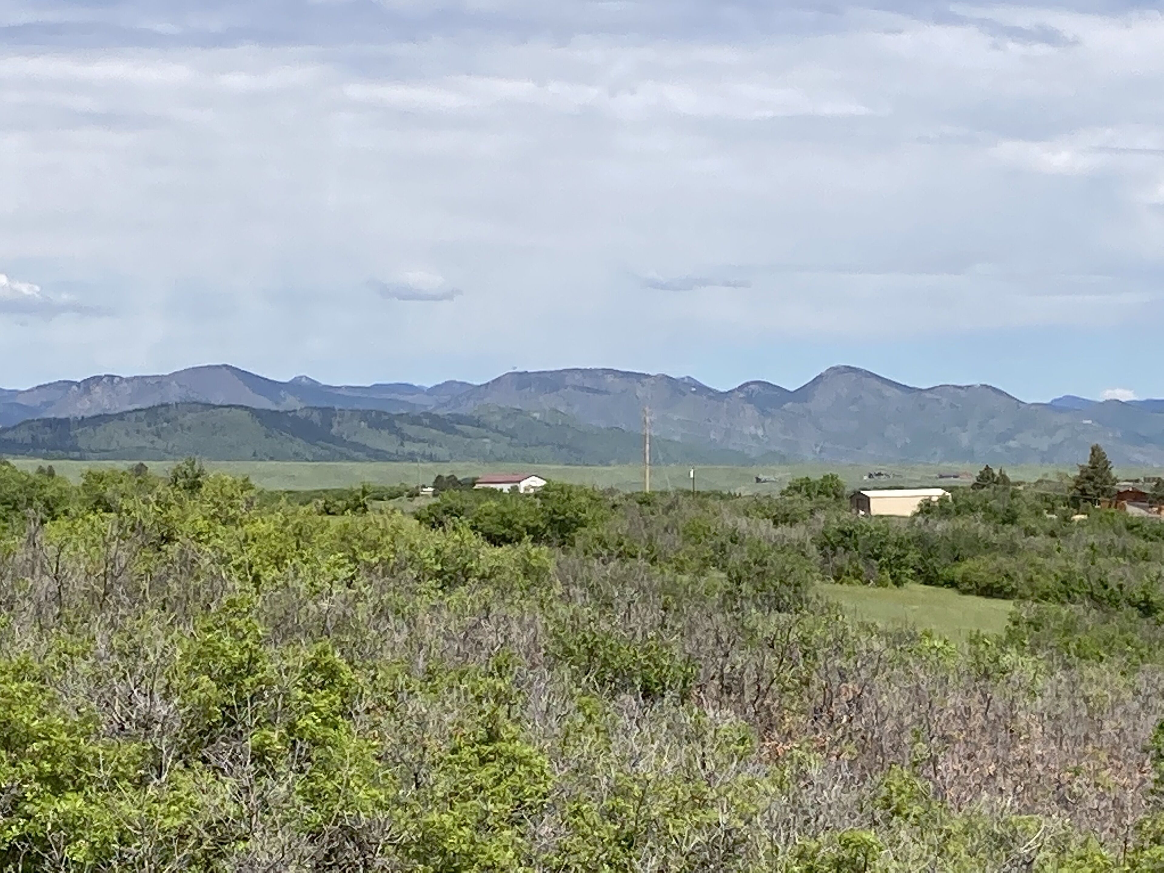 A landscape with mountains in the background and a field in the foreground.
