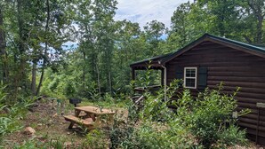 A rustic cabin with a wooden deck, surrounded by dense forest.