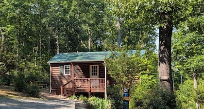 Cozy cabin for 2 w/ great mt views & walking trails!