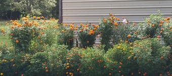 Newly renovated entire guest suite in Orange County.