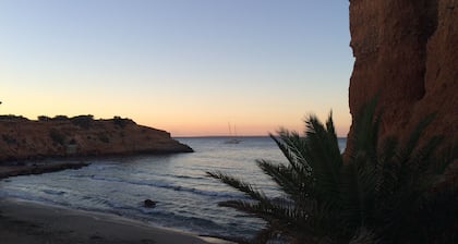 Maisonnette dans la pinĂšde de Sa Caleta