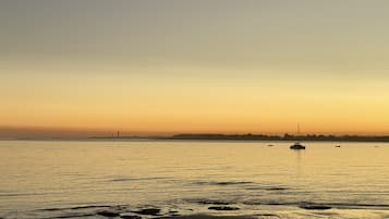 Plage, chaises longues