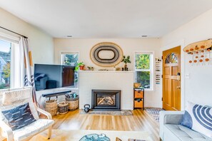 Televisión, chimenea y libros 