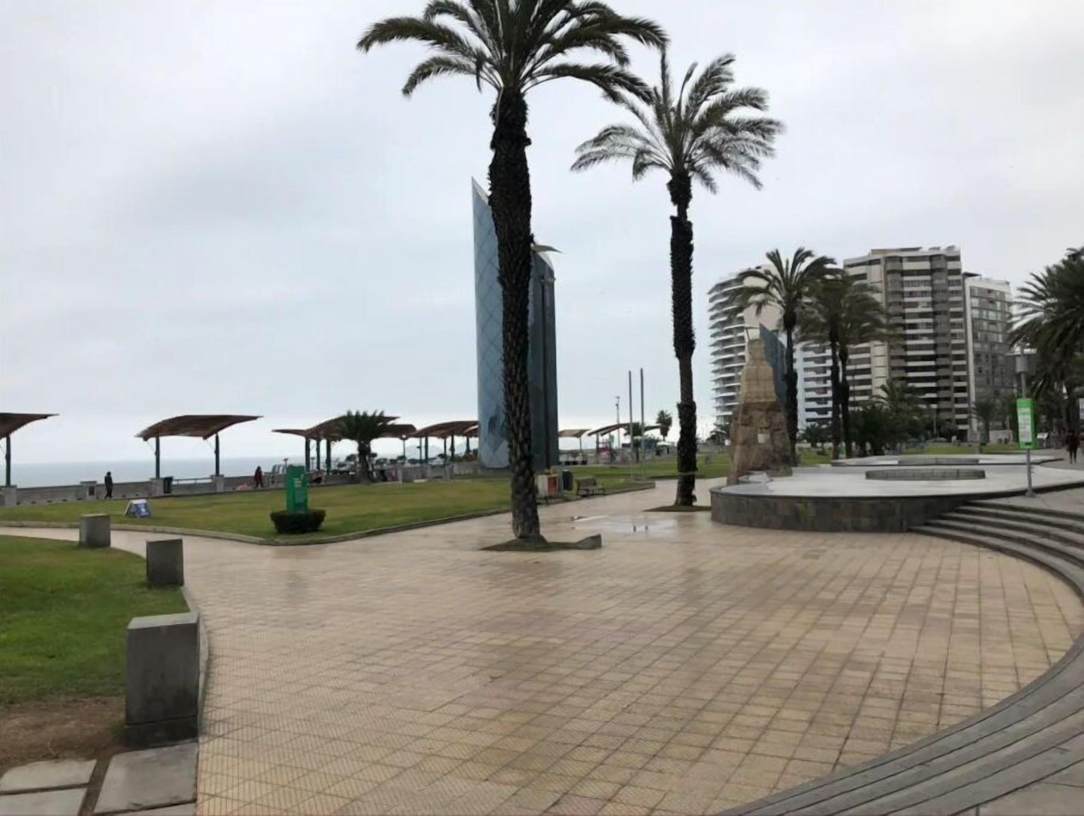 Une place dallée bordée de palmiers, un immeuble imposant et une structure moderne dotée d’un toit incurvé.