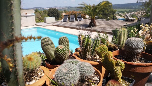 A rooftop garden with various potted cacti and succulents, overlooking a swimming pool and a view of distant hills. - Family villa between sea and scrubland 15 min Mtp (Combaillaux)