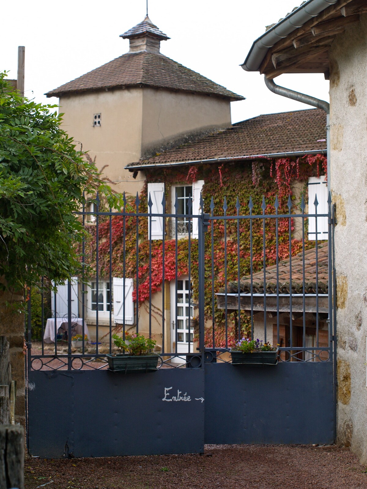 Image de profil de l’hôte