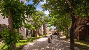 Un sentier bordé d’arbres et un espace piscine mènent à un bâtiment dont le toit est recouvert de chaume.