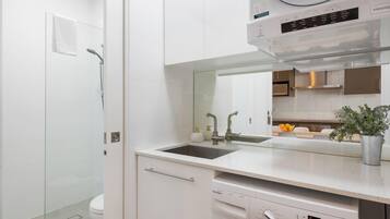 Separate bathtub and shower, hair dryer