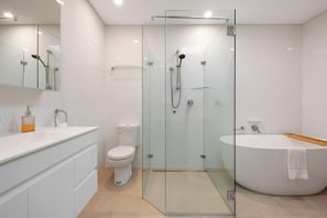 Separate bathtub and shower, hair dryer - Large 4BR Terrace Home in Forest Lodge (Forest Lodge)