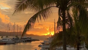 Un puerto deportivo con barcos amarrados, palmeras y un atardecer de fondo.