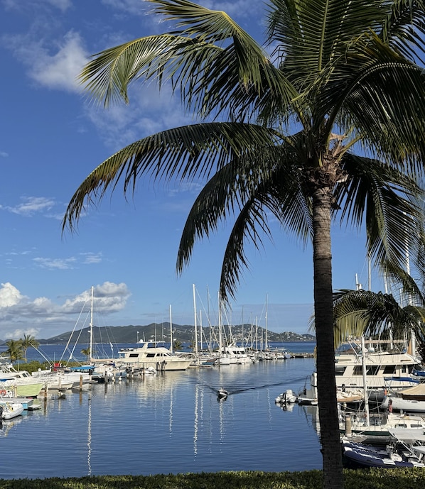 Marina - Amazing Views & Beach Access w GENERATOR & Dishwasher. Check August discounts! (Saint Thomas)