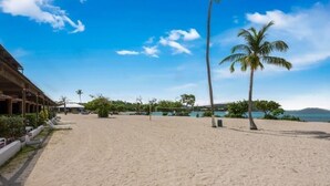 Una playa con palmeras, sillas de descanso y un edificio con zona cubierta.