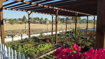 Jardines del alojamiento