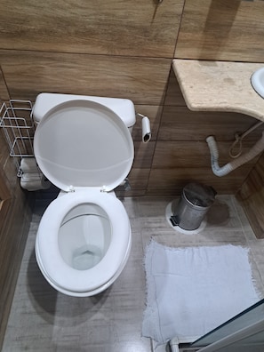 Shower, towels, soap, toilet paper