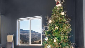 Een moderne woonkamer met een groot raam, een kerstboom en een bed met beddengoed met een patroon.