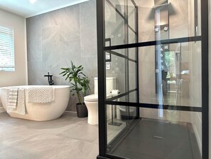 Shower, towels, toilet paper