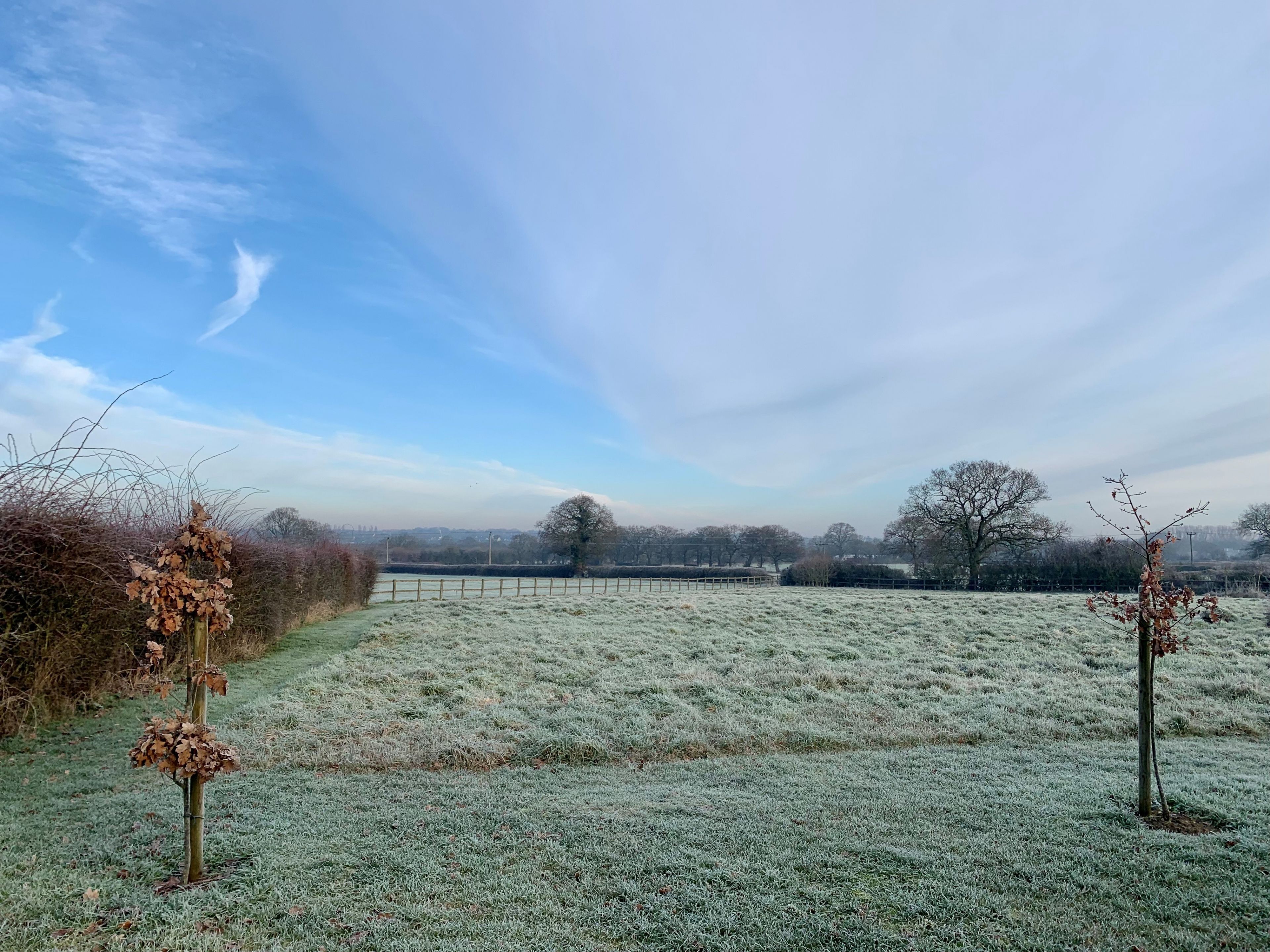 A frosty field with a wooden fence and leafless trees in the background.
