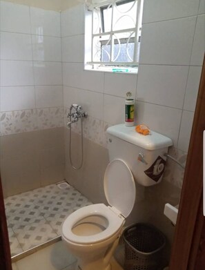 Shower, soap, toilet paper