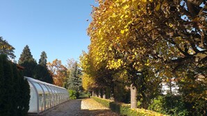 A pathway lined with trees and a greenhouse structure. - Aquamarin Hotel (Hévíz)