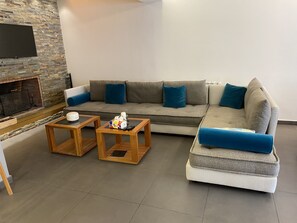 Télévision, cheminée, lecteur de DVD