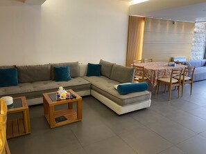 Televisión, chimenea y reproductor de DVD 