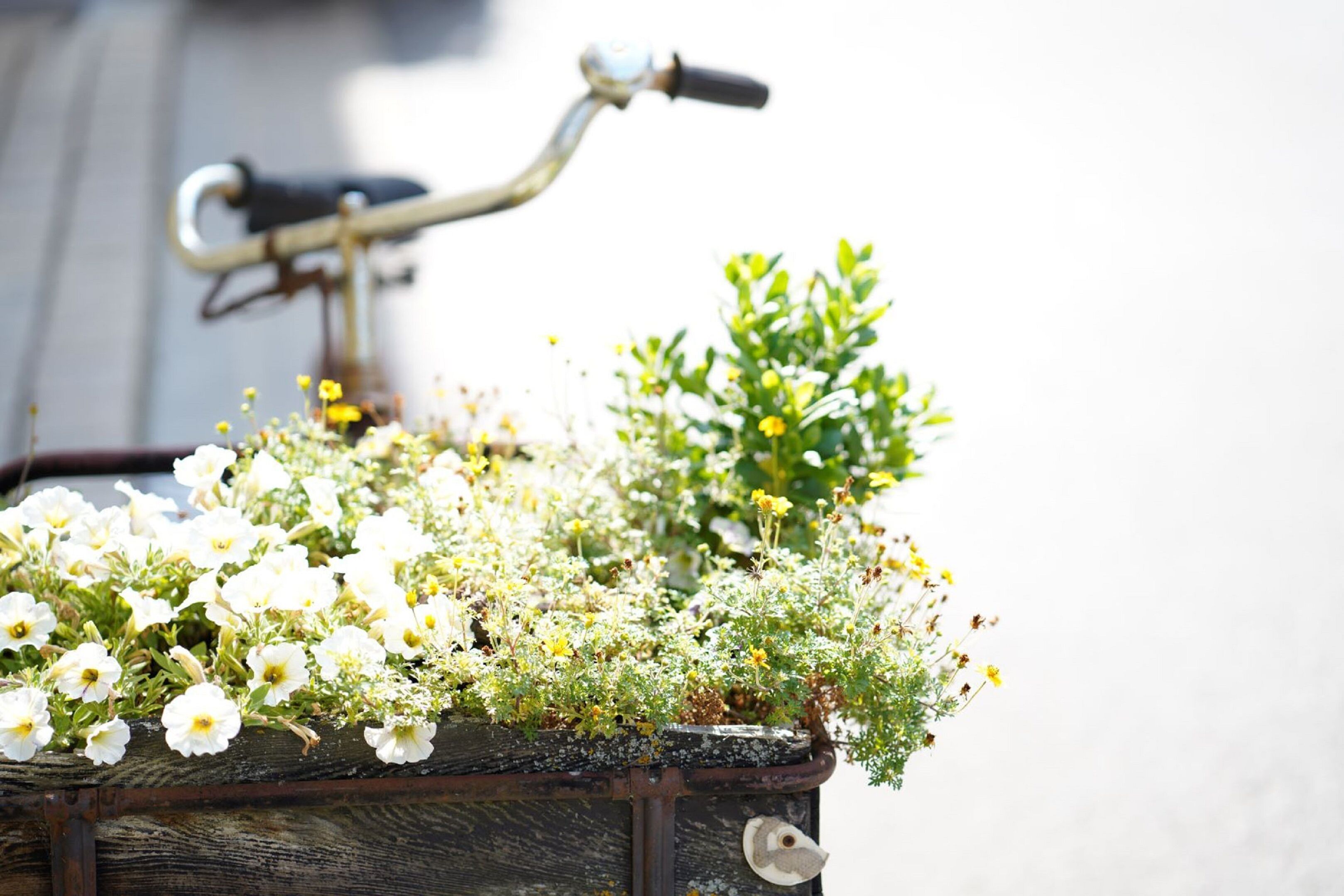 A vintage bicycle with a basket filled with various flowers.