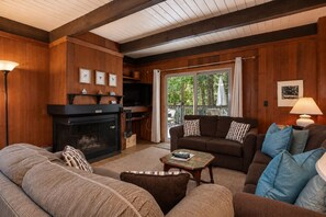 TV, fireplace, DVD player, books