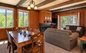 TV, fireplace, DVD player, books
