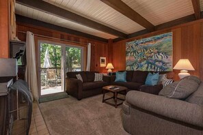 テレビ、暖炉、DVD プレーヤー、書庫