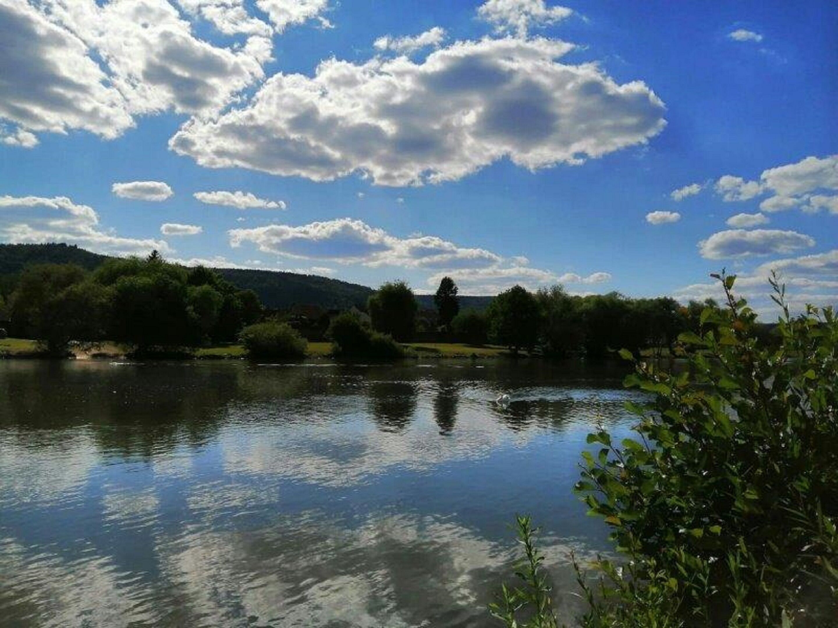 A calm lake with reflections of the sky and surrounding greenery.