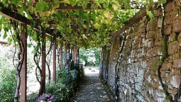 A covered walkway with a stone wall on one side and a wooden pergola on the other, surrounded by greenery. - Ferienwohnung Familie Buchner (Grossheubach)