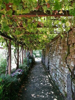 A covered walkway with a stone wall on one side and a wooden pergola on the other, surrounded by greenery. - Ferienwohnung Familie Buchner (Grossheubach)
