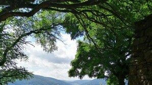 A bench under a tree overlooking a mountainous landscape. - Ferienwohnung Familie Buchner (Grossheubach)