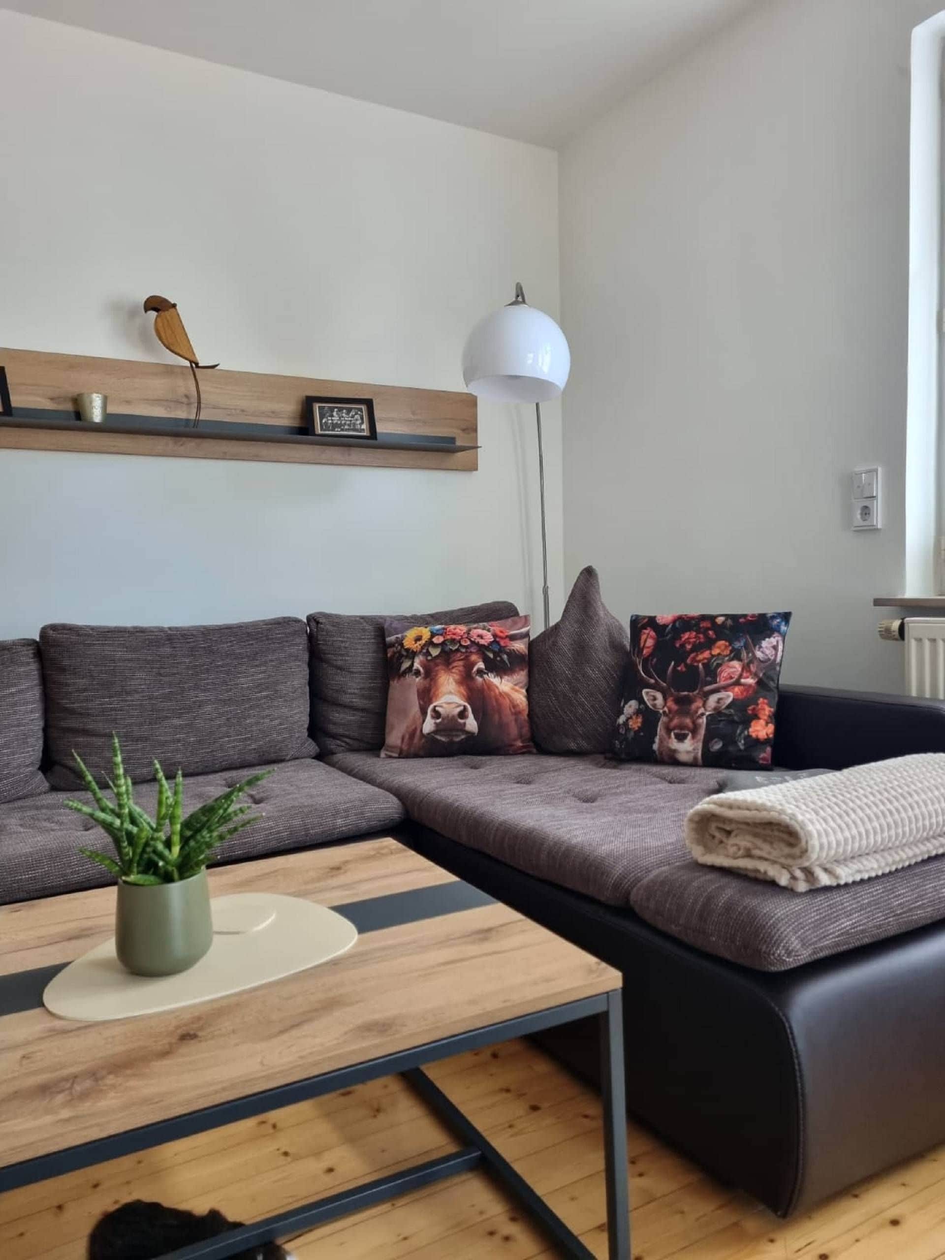 A modern living room with a sectional sofa, a coffee table, a potted plant, and decorative pillows.