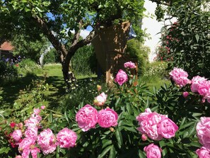 Garden - Ferienwohnung Evi (Auerbach)